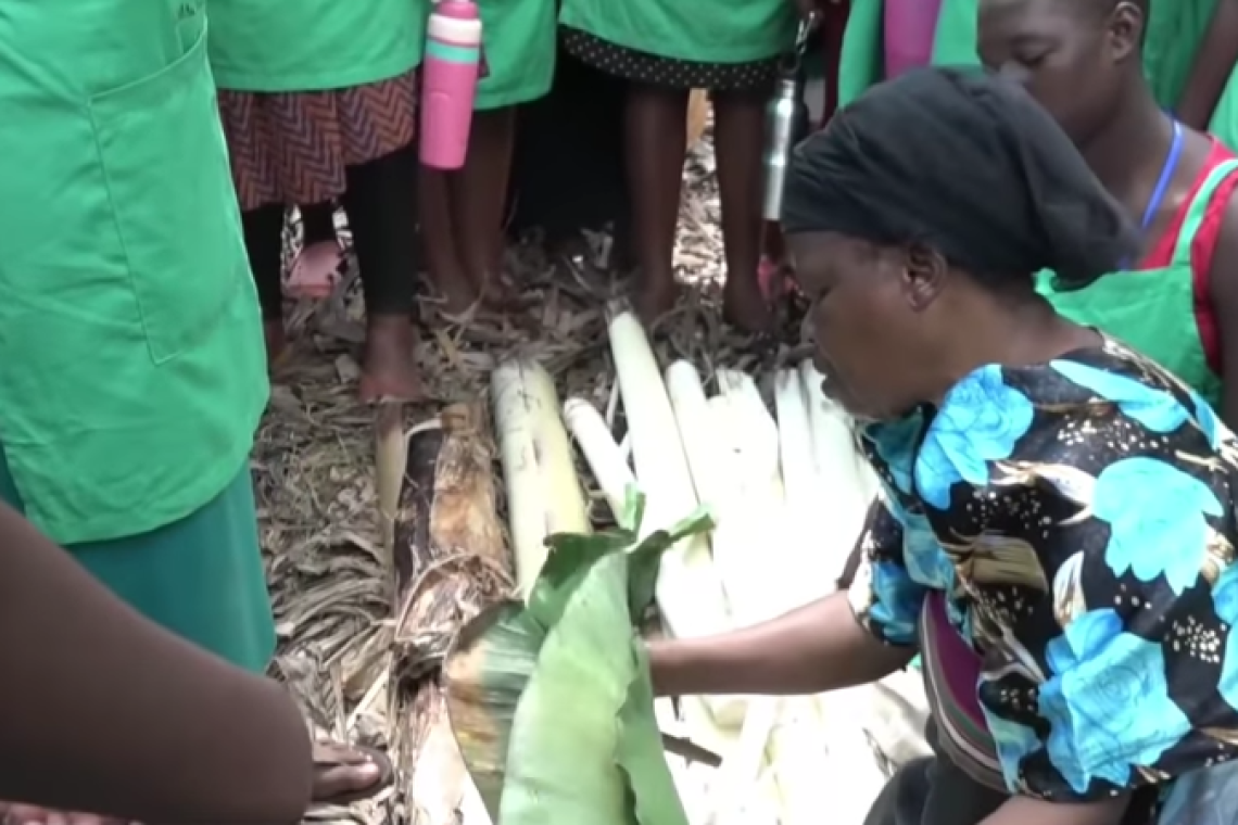 Students attending the Nnabagereka's Culture Coaching (Kisaakate) Learn How To Manage Banana Plantations 