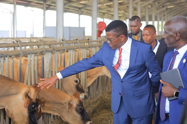 The Katikkiro visiting the Namulonge livestock ranch