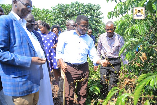 Hon Amis Kakomo and the Chief Minister were visiting the farmers