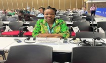 Protecting the global environment: Buganda's representation at COP16